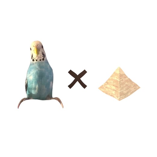 Funny Parakeet Videos That Will Make You Laugh