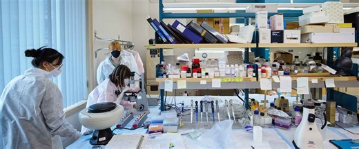 Boston University Summer Term