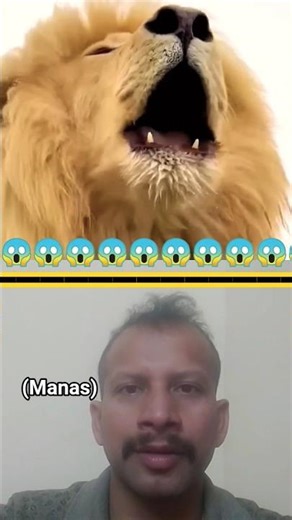 best parabolic microphone for wildlife recording