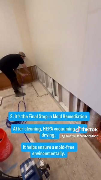 3 Reasons to Encapsulate Mold After Cleaning