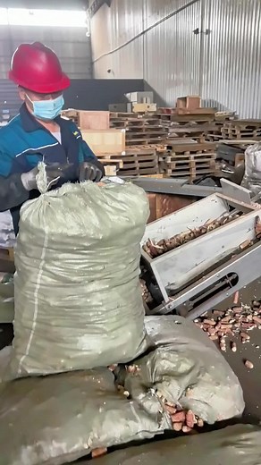 Corn Cob Pellets for Sustainable Energy Solutions