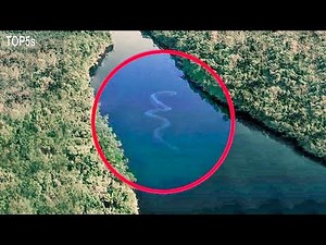 5 Mythical Sea Monsters Scarier Than Dinosaurs...