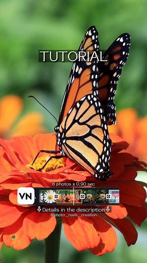 𝐑𝐄𝐄𝐋𝐒 𝐓𝐔𝐓𝐎𝐑𝐈𝐀𝐋𝐒 • 𝐓𝐄𝐌𝐏𝐋𝐀𝐓𝐄𝐒🥀 𝐑𝐞𝐞𝐥𝐬𝐦𝐚𝐤𝐞𝐫 on Instagram: "👇TUTORIAL: ✅ 8 photos x 0,90 sec ✅ «FX»: • All photos - “Expand” (duration 0,45 s) ✅ Transitions: Alternate “Horizontal” / “Vertical” (duration 0,3 sec) ➤ My export settings: 1080/60 fps, bitrate 40, HDR off 🔗 App VN @vnvideoeditor ➤ Using the link in the bio, you can subscribe to the telegram channel with VN and CapCut templates, as well as express your gratitude to the author in the form of a donation. T