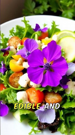 Growing Cornflowers: Ancient Beauty in Modern Gardens