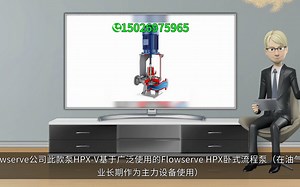 flowserve美国福斯HPX-V卧式流程泵 福斯(上海)流体设备有限公司