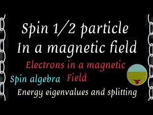 Spin 1/2 particle in a magnetic field - Electrons in a magnetic field - Quantum mechanics