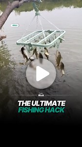 Man demonstrates unconventional method to catch fish