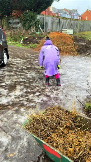 Mishaps on Ice: Hilarious Equestrian Moments to Watch