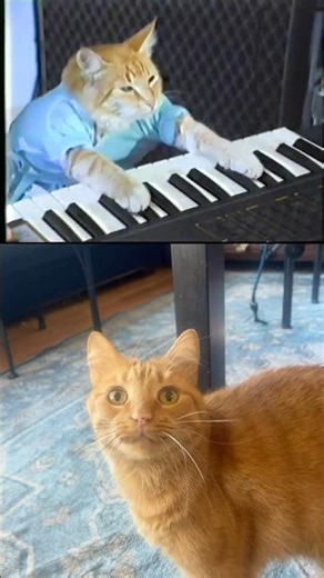 “Play Him Off, Keyboard Cat” by Charlie Schmidt #funny #viral #cats #fyp #keyboardcat #shorts