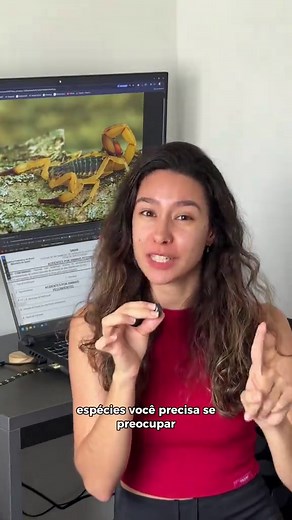 Escorpião: Perigos e Cuidados Essenciais