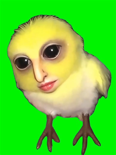 When the brainrot finally consumes your last two remaining brain cells 🐦🌀 by: Jon mud This viral animation features a bird performing a chaotic, high-energy dance that perfectly captures the