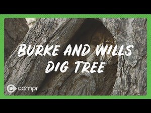 Burke and Wills Dig Tree, Nappa Merrie Station