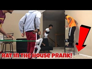 RAT IN THE HOUSE PRANK!!!