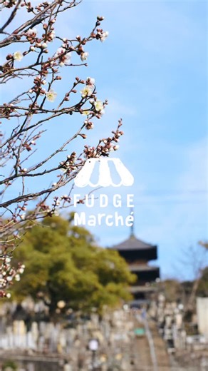 FUDGE / ファッジ on Instagram: "京都の大人気お買い物イベント『FUDGE Marché』が2026年、京都の名所・東本願寺の庭園「名勝 渉成園」に帰ってくる！！ 今回の会場は、国の名勝にも指定されている東本願寺の飛地境内地の庭園「名勝 渉成園」。2024年にも同会場で開催し、2000名を超えるお客様にお越し頂きました。京都に息づく文化を五感で感じることができる特別な会場です。 またFUDGE主催のお買い物イベントの人気エリアHandmade Marchèのは人気作家や陶芸家が選りすぐりで出店！かわいいものと言うのも理由があって、FUDGE Marchéに出店するSHOPはすべてFUDGEのスタッフがスカウトしたブランドのみなんです！雑誌にはあまり登場しない陶器やハンドメイドの雑貨もたくさんあるのもポイント♡ FUDGEのスタッフお墨付きのSHOPが集まるので、かわいい＆おしゃれは間違いなし！ 「FUDGE Marché KYOTO」 期間：2026年3月7日(土)〜8日(日) 会場：名勝 渉成園 住所：京都府京都市下京区下珠数屋町通間之町東入東玉水町（京都駅よ