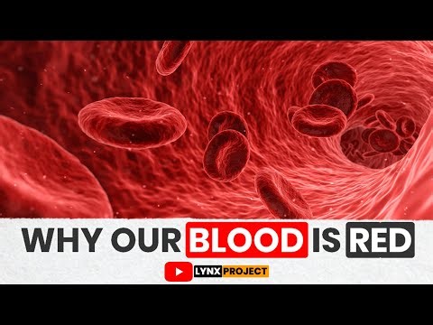 Why is Blood Red? Why NOT Blue or Green?