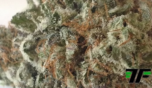 Raspberry Kush | Marijuana Strain Reviews