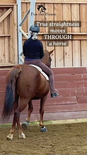 207 reactions · 29 comments | I used to spend hours watching my...