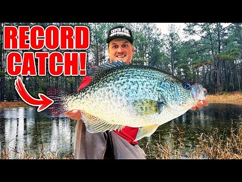 One in a MILLION Crappie is a NEW TEXAS RECORD!!