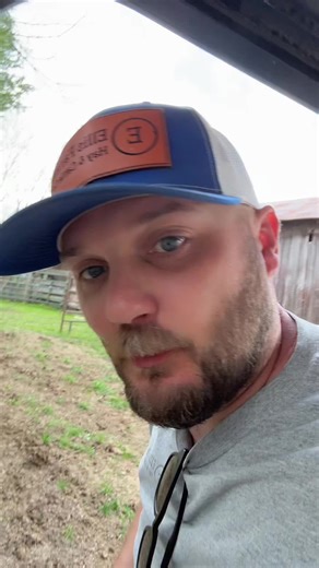 Cattle Round-up: Preparing Calves for Stockyard