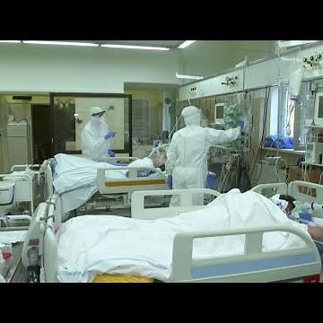 Molnupiravir: el medicamento que podría eliminar la transmisión de COVID-19 en un solo día