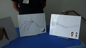 A bat's wing structure is more similar to your arm than other animal wings! Check out how in today's #30SecondScience! #LetsScience | Maryland Science Center