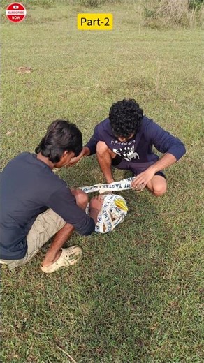 10 Days Chips Test 🔥#shorts #viral