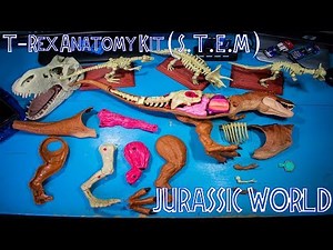 T-Rex Anatomy Kit (S.T.E.M) - Mattel Jurassic World The Fallen Kingdom