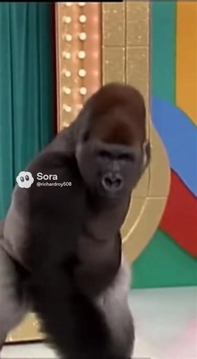 80K views · 832 reactions | Things we didn’t see on “The Price Is Right” pt 7 | Big Time Gameshows | Facebook