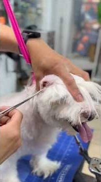 Ear plucking 101: Remove excess hair → Increase airflow → Reduce infection risk.