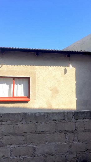 Marco G (freestyle) 😂. | Marco G