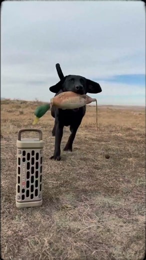 Wherever the hunt, Turtlebox rolls with you.