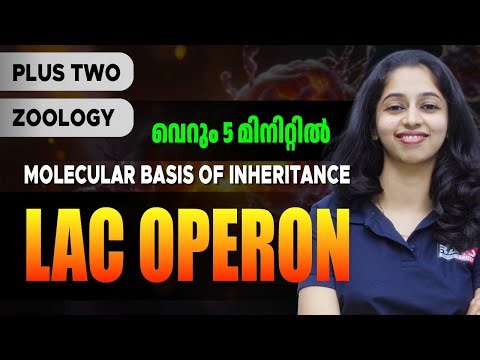 Molecular Basis of Inheritance -Lac Operon Concept Made Easy| Rays Plus Two