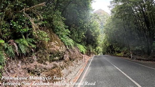 GOING, GOING, GONE! While bookings for the 18-day South Island tour have closed, you can still reserve your place on two upcoming tours happening in February and March 2026. Because demand is high and spots are limited, it's best to book early. 18-day North Island Tour (February 4–21, 2026): https://www.pohutukawatours.com/motorcycle-tour/view/10 Only 22 days left—secure your spot now for an unforgettable tour. Bookings close on Dec. 4th. 2025 27-day Two Island Tour (February 27–March 25, 2026):