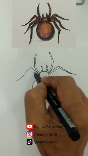 Cara Menggambar Laba-Laba: Tutorial Mudah dan Kreatif