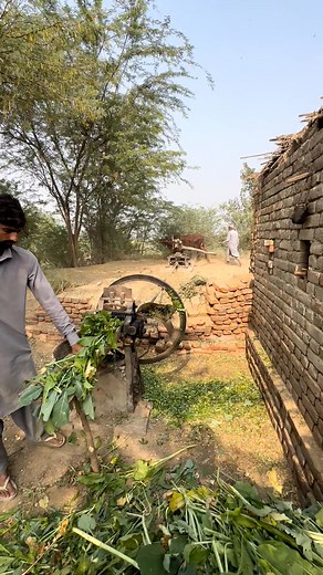 120K views · 4.7K reactions | Traditional Gear Tokka machine Operating with bull power #villagelife #punjabiculture #shorts #viralreels #trandingreels #ytshort #everyoneactivefollowersシfypシ゚viralシalシ #fyp | Traditional Punjab | Facebook