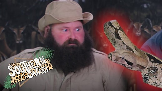 Getting wrapped up by a red-tailed boa constrictor on safari