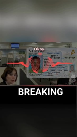 25' Turning Point USA 🇺🇸 on Instagram: "Get @reshare_app • @libsoftiktokofficial HOLY SHIT. Maine DMV reportedly caught giving info on how an illegal alien from Somalia could get a driver's license despite k*lling someone in a car crash in his home country. Maine is potentially allowing dangerous illegals to drive on our roads."