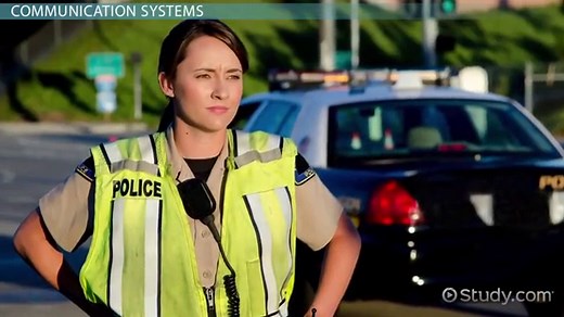 Homeostasis in the Body | Overview & Examples