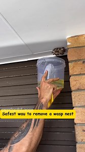 Well that’s a first. Emergency call out to remove a wasp nest 😂 Petrol a bucket with a lid and you have yourself the safest way to remove a wasp nest. ✅ #waspnestremoval #handymanservice #emergencycallout #handyman # | The Green Corner