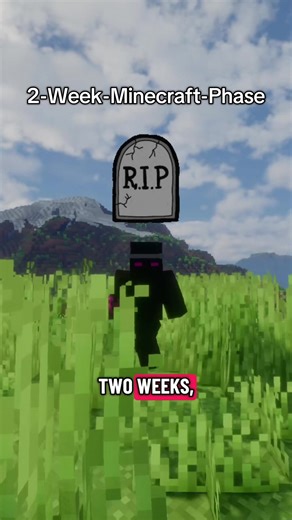 These plugins are essential!! #minecraft #2weekminecraftphase #minecraftplugins #minecraftserver