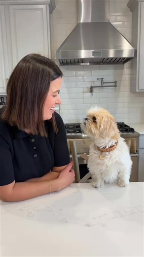 52K views · 2.6K reactions | Taste testing @Raising Cane's #chicken #foodie #dog #dogtok | That Dog Stella | Facebook