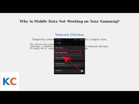 Mobile Data Not Working on Samsung (2025) – APN, SIM, DNS & Network Reset