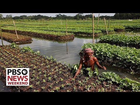 Driven by necessity, Bangladesh develops innovations to fight climate change