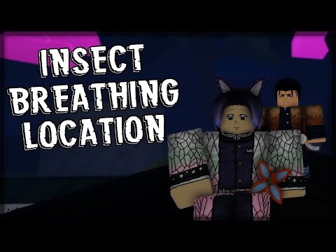 Insect Breathing Trainer Location - Demonfall Roblox How To Get Insect Breathing Demon Fall Shinobu