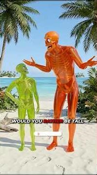 Tall vs Short on a Deserted Island in the United States 🏝️ Who Survives Longer? 🤔