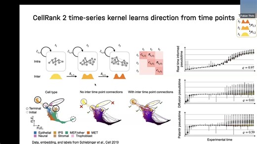 在单细胞多组学中学习细胞动力学 || Fabian Theis