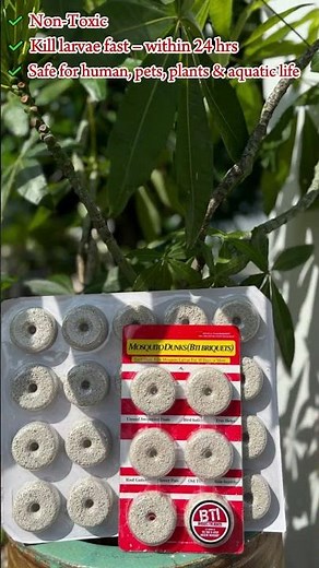 Mosquito Killer - Micro BTI Granule Non-Toxic Mosquito Insecticide / Pesticide