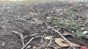 Ballett Choreo Film.mov