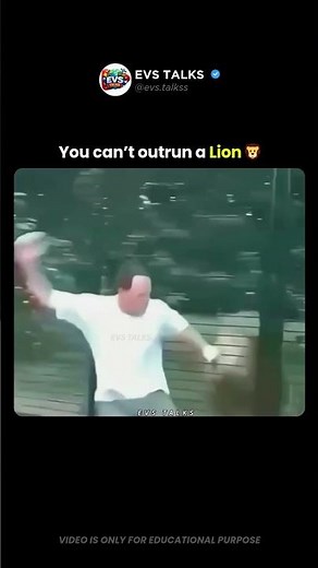 Think You Can Run from a Lion? Think Again 😱🦁
