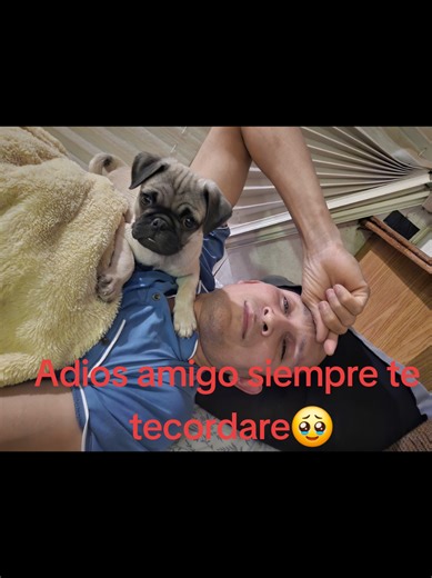 #adios amigo🥹 loco🥹🥹